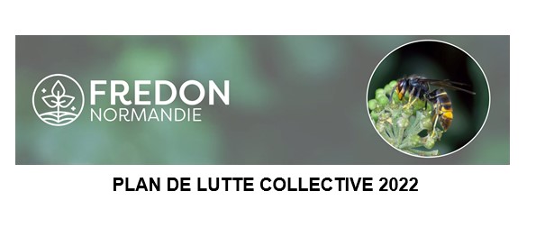 FREDON-Frelons_campagne-2022