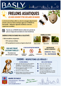 Abeilles-chiens